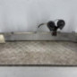 Renfort pare choc avant (traverse) RENAULT MEGANE 3