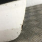 Porte avant gauche RENAULT CLIO 2