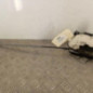 Serrure avant gauche VOLKSWAGEN GOLF 7