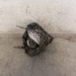 Bloc ABS (freins anti-blocage) CITROEN C3 1