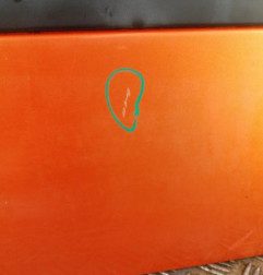 Porte avant gauche RENAULT TWINGO 2 Photo n°5