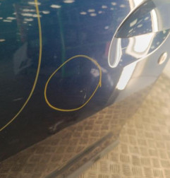 Porte avant gauche DACIA LOGAN MCV 2 Photo n°3