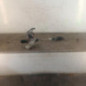 Cremaillere assistee SUZUKI SWIFT 3