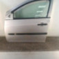Porte avant gauche RENAULT CLIO 3