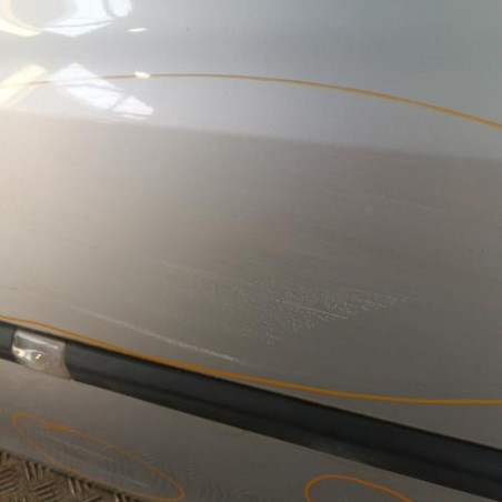 Porte avant gauche RENAULT CLIO 3