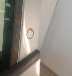 Porte avant gauche RENAULT CLIO 3 Photo n°4