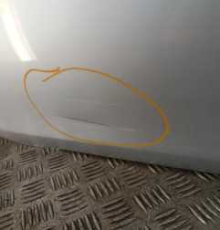 Porte avant gauche RENAULT CLIO 3 Photo n°5
