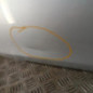 Porte avant gauche RENAULT CLIO 3