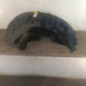 Pare boue arriere droit CITROEN C5 AIRCROSS