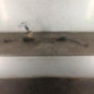 Cremaillere assistee RENAULT CLIO 3