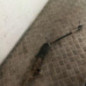 Cremaillere assistee RENAULT CLIO 3