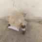 Vase d'expansion CITROEN C4 CACTUS