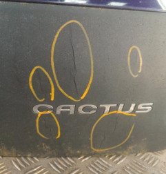Malle/Hayon arriere CITROEN C4 CACTUS