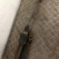 Cremaillere assistee CITROEN BERLINGO 1