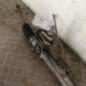 Cremaillere assistee FORD FIESTA 4