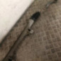 Cremaillere assistee RENAULT SCENIC 2