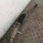 Cremaillere assistee PEUGEOT 206