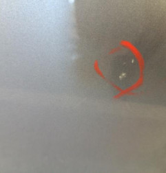 Porte avant gauche RENAULT CLIO 3