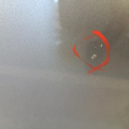 Porte avant gauche RENAULT CLIO 3