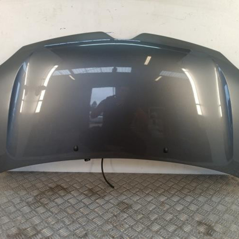 Capot RENAULT TWINGO 3 Capot RENAULT TWINGO 3