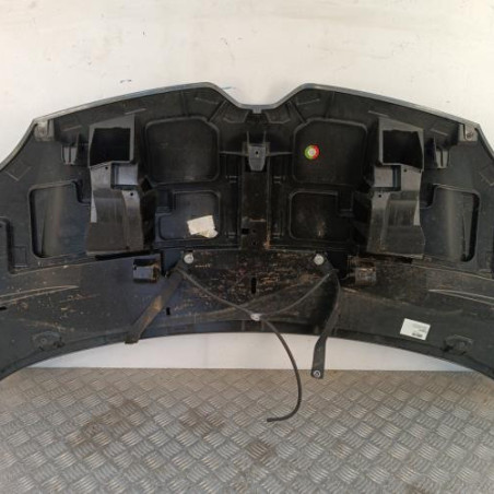 Capot RENAULT TWINGO 3