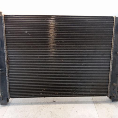 Radiateur eau DACIA DUSTER 1 Photo n°1