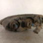 Optique avant principal droit (feux)(phare) CHRYSLER PT CRUISER