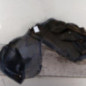 Pare boue avant gauche LAND ROVER RANGE ROVER 1 EVOQUE