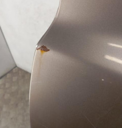 Porte arriere gauche NISSAN MICRA 3