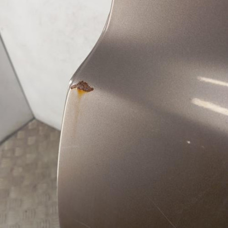 Porte arriere gauche NISSAN MICRA 3