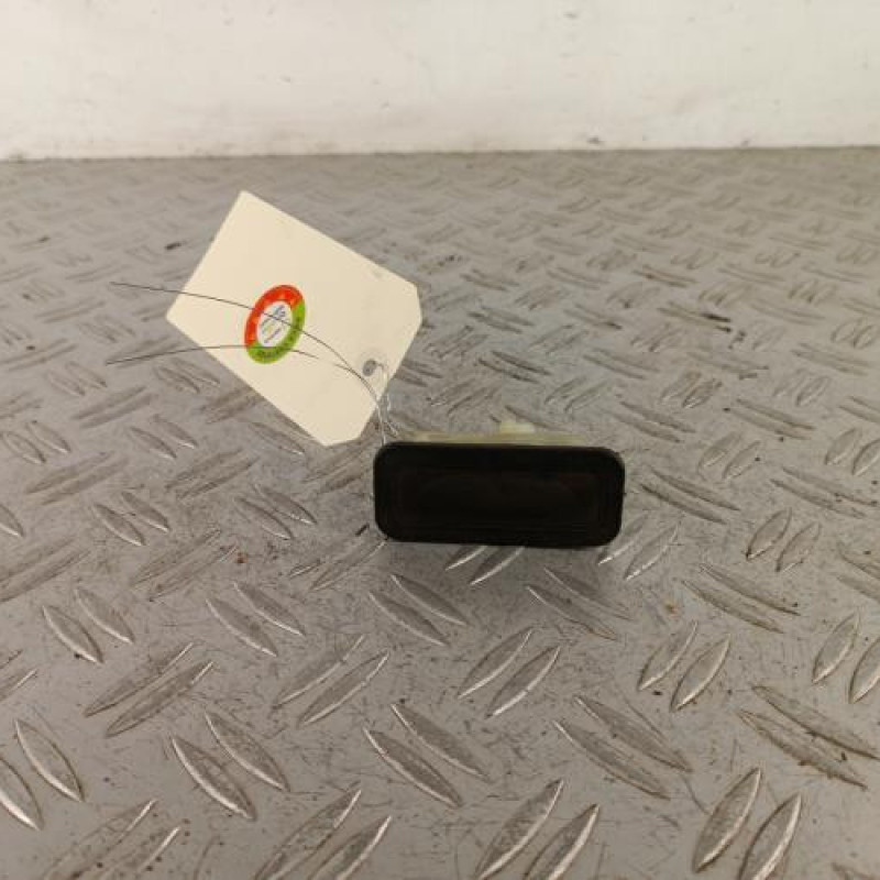 Poignee hayon RENAULT CLIO 3 Poignee hayon RENAULT CLIO 3
