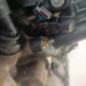 Moteur CITROEN C3 1