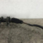 Cremaillere assistee CITROEN JUMPER 3