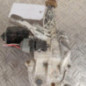 Moteur essuie glace avant droit RENAULT SCENIC 3