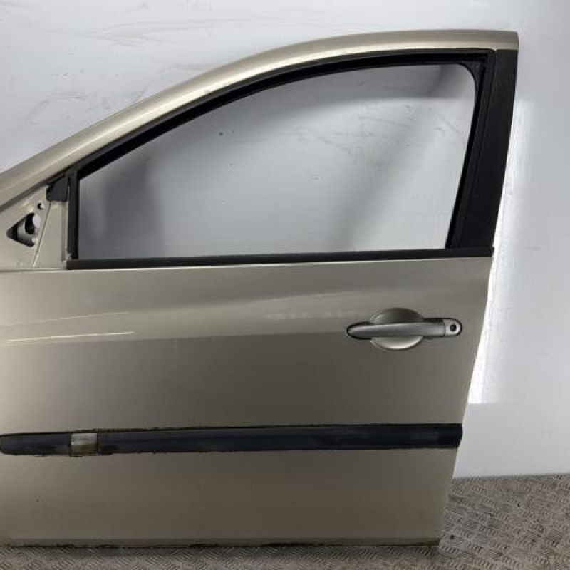 Porte avant gauche RENAULT CLIO 3