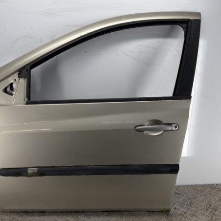 Porte avant gauche RENAULT CLIO 3 Photo n°1