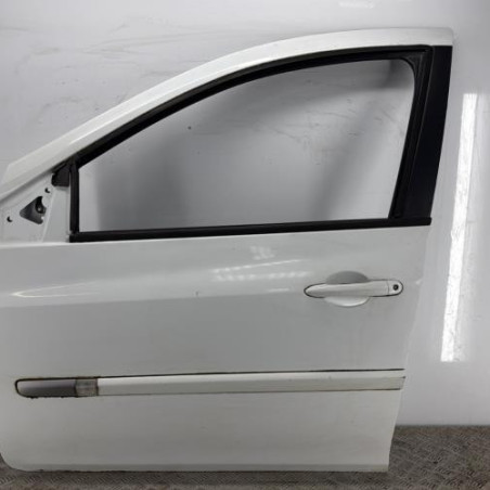 Porte avant gauche RENAULT CLIO 3 Photo n°1