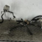 Tuyau hydraulique de direction assistee PEUGEOT BOXER 3