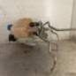 Vase d'expansion FIAT DUCATO 3