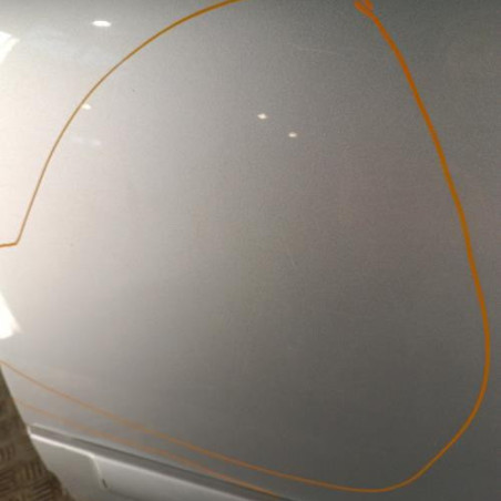 Porte arriere gauche CITROEN C3 1