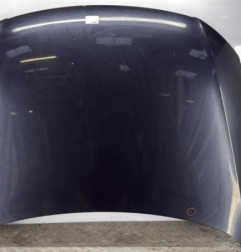 Capot VOLKSWAGEN PASSAT 5 Photo n°1