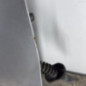 Porte avant droit PEUGEOT 4007
