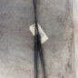 Verin de coffre OPEL CORSA C