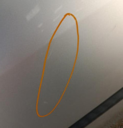 Porte avant droit RENAULT CLIO 3 Photo n°5