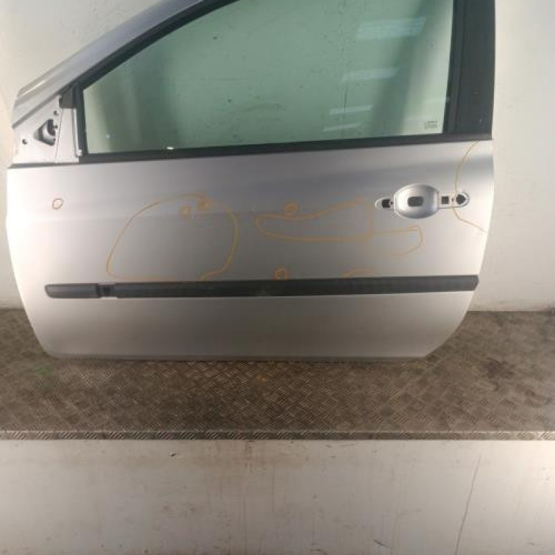Porte avant gauche RENAULT CLIO 3