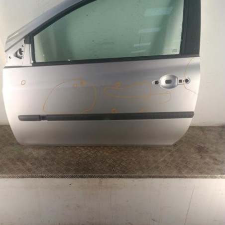 Porte avant gauche RENAULT CLIO 3 Photo n°1