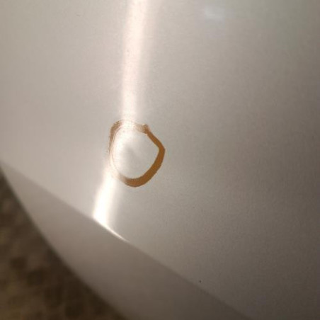 Porte avant gauche RENAULT CLIO 3