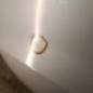 Porte avant gauche RENAULT CLIO 3