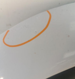 Porte avant gauche RENAULT CLIO 2 Photo n°3