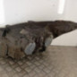 Optique avant principal droit (feux)(phare) FORD TRANSIT CUSTOM